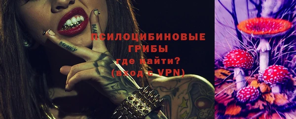 мдпв Верхний Тагил